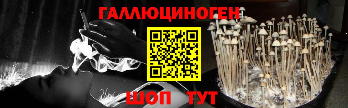 Галлюциногенные грибы Magic Shrooms Электрогорск